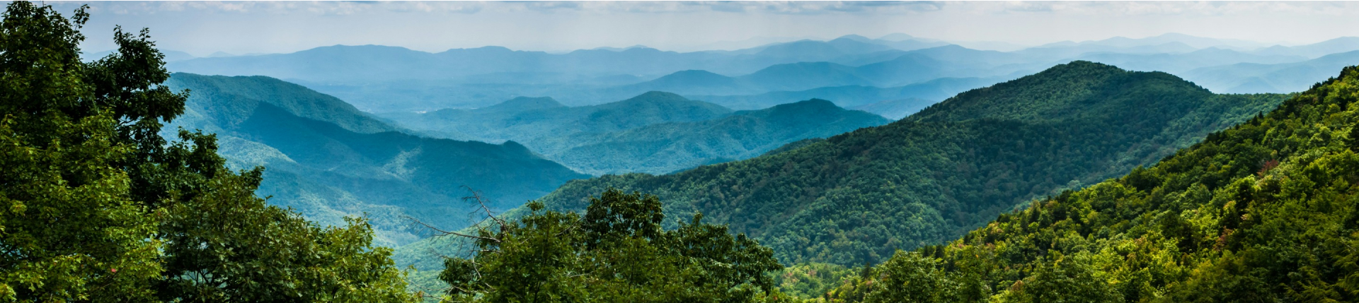 A panoramic view of lush, green mountainous landscape under a hazy sky. Layers of rolling hills fade into the distance, creating a sense of depth and serenity. About MJK Industries: Dense foliage in the foreground frames the scenic vista.